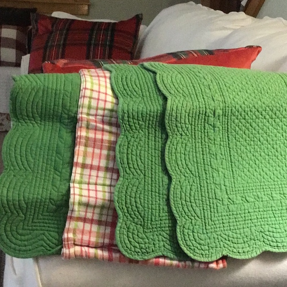 2 Quilted Placemats 1 matching utensil placemat. Holiday or Summer picnic. Cute.